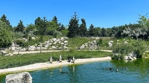 parrot world 2