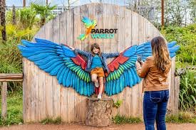 parrot world 1