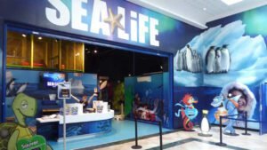 sea life 2