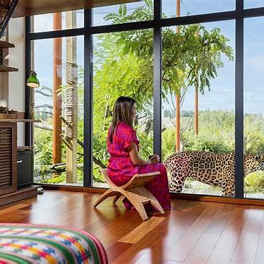 interieur appartement lodge vue animaux parrot world